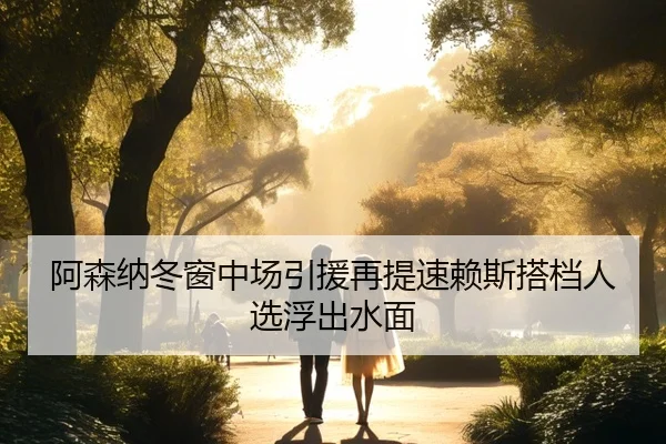 阿森纳冬窗中场引援再提速赖斯搭档人选浮出水面